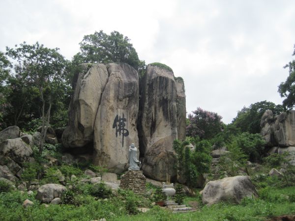 Mùa phượng tím