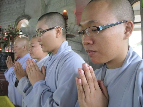Mùa phượng tím