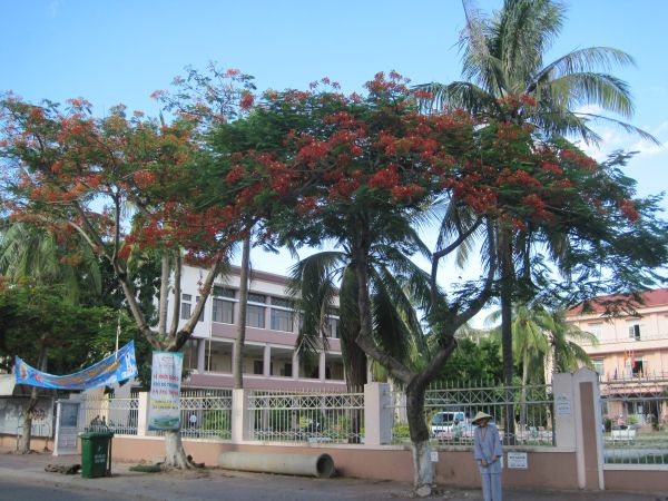 Giới thiệu tổng quan về khóa tu “Hương hội hè” – Bình Định