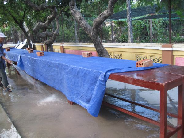 Giới thiệu tổng quan về khóa tu “Hương hội hè” – Bình Định