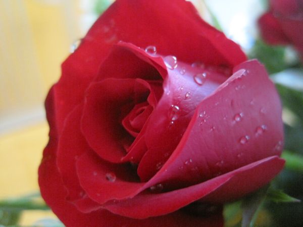 Hương hội hè – ngày đầu vào trại