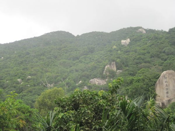 Một ngày cùng Thiền Viện Chân Nguyên