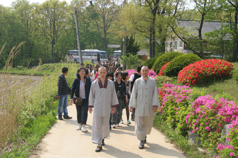 Sinh viên Quốc tế đến Liên Đăng Quốc Tế Thiền viện sinh hoạt Hè - Thu