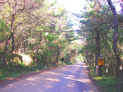 Thượng Viện Cổ Tự - Hàn Quốc, nơi Bồ tát Văn Thù thị hiện