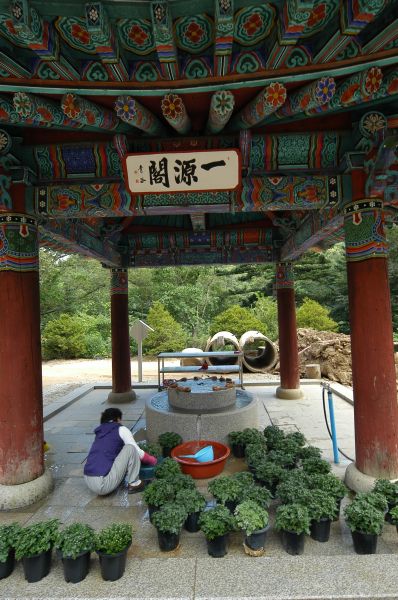 Thượng Viện Cổ Tự - Hàn Quốc, nơi Bồ tát Văn Thù thị hiện