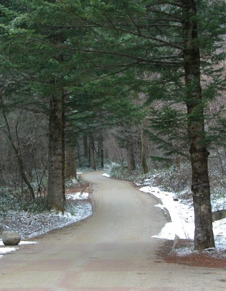 Thượng Viện Cổ Tự - Hàn Quốc, nơi Bồ tát Văn Thù thị hiện