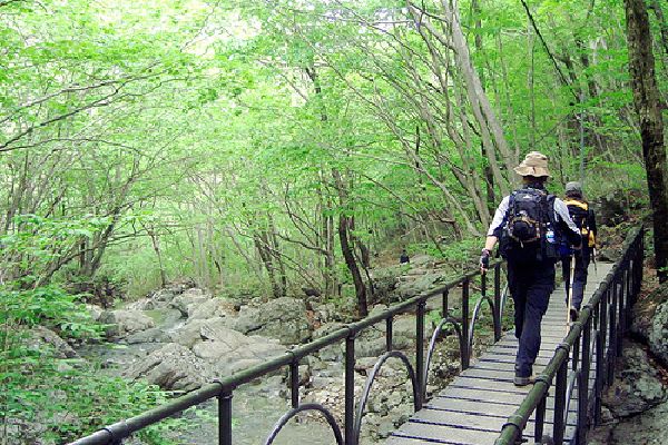 Thượng Viện Cổ Tự - Hàn Quốc, nơi Bồ tát Văn Thù thị hiện