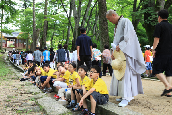 Hình ảnh  khóa tu mùa Hè cho Thanh thiếu niên  tại Tổ đình Hải Ấn Cổ Tự (Haeinsa) Hàn Quốc