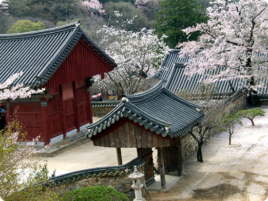 Hoa Nghiêm Cổ Tự - Danh thắng Phật giáo Hàn quốc