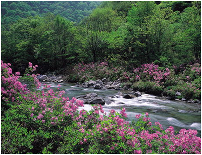 Hoa Nghiêm Cổ Tự - Danh thắng Phật giáo Hàn quốc