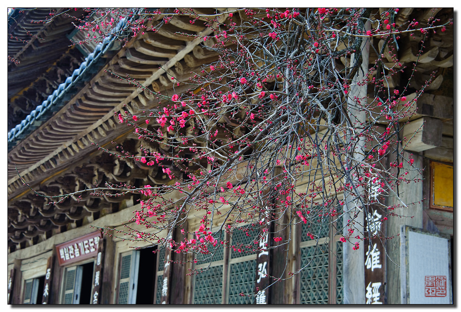 Hoa Nghiêm Cổ Tự - Danh thắng Phật giáo Hàn quốc