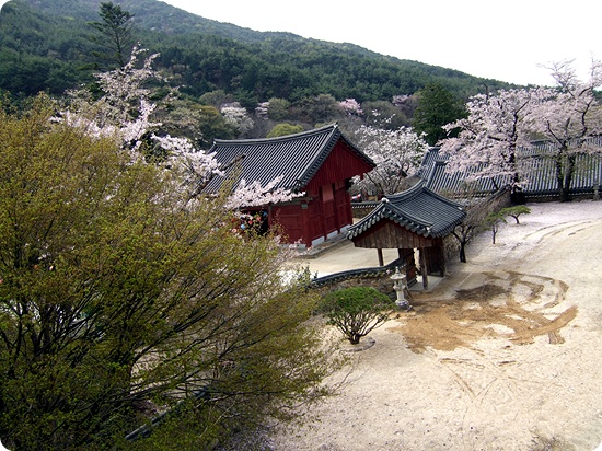 Hoa Nghiêm Cổ Tự - Danh thắng Phật giáo Hàn quốc