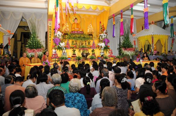 Buổi tọa đàm &quot;Tình yêu thương và mầm sống&quot;