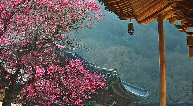 Hoa Nghiêm Cổ Tự - Danh thắng Phật giáo Hàn quốc