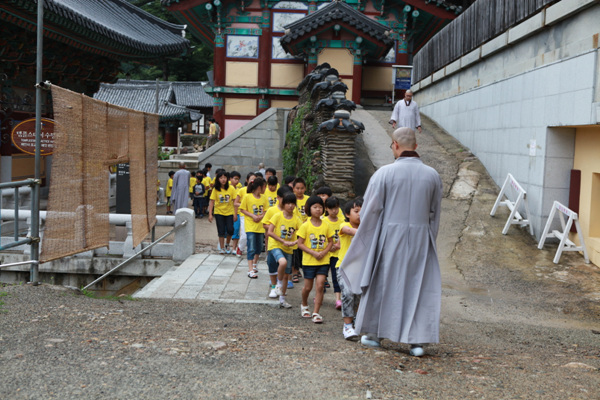 Hình ảnh  khóa tu mùa Hè cho Thanh thiếu niên  tại Tổ đình Hải Ấn Cổ Tự (Haeinsa) Hàn Quốc