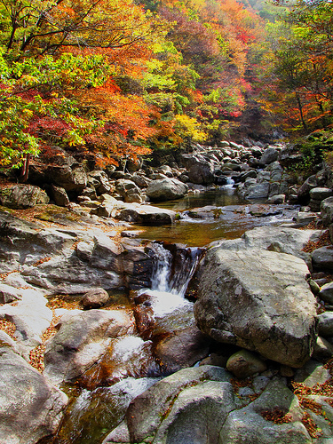 Hoa Nghiêm Cổ Tự - Danh thắng Phật giáo Hàn quốc