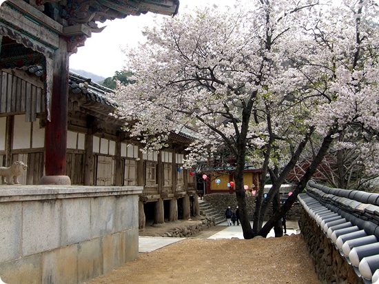 Hoa Nghiêm Cổ Tự - Danh thắng Phật giáo Hàn quốc