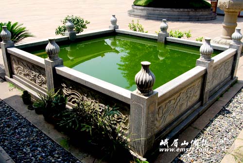 Chùm ảnh: Vẻ đẹp chốn bình yên