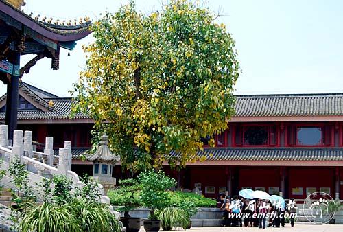 Chùm ảnh: Vẻ đẹp chốn bình yên