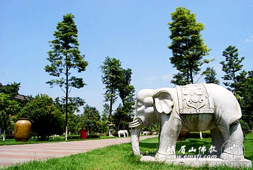 Chùm ảnh: Vẻ đẹp chốn bình yên