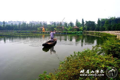 Chùm ảnh: Vẻ đẹp chốn bình yên