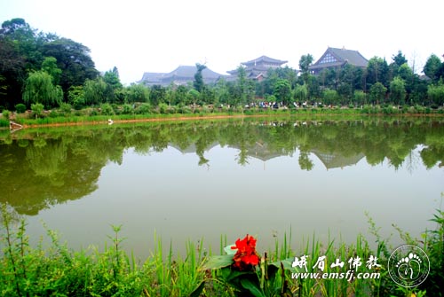 Chùm ảnh: Vẻ đẹp chốn bình yên