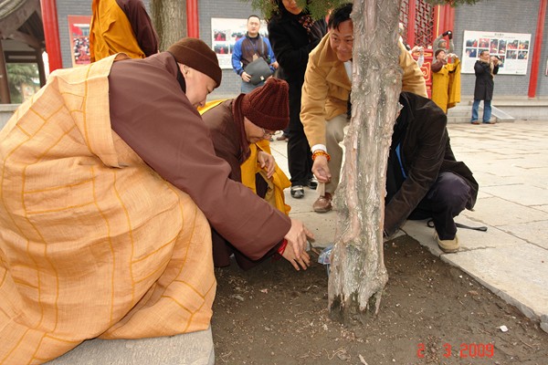 Thông Báo Chính Thức về Chương Trình Đại Giới Đàn Cam Lộ