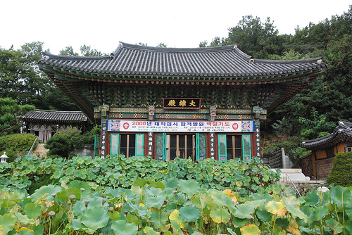 Tổ đình Phụng Nguyên Cổ Tự (Bongwonsa), duy trì phát huy truyền thống Nghi Lễ Phật giáo Hàn Quốc