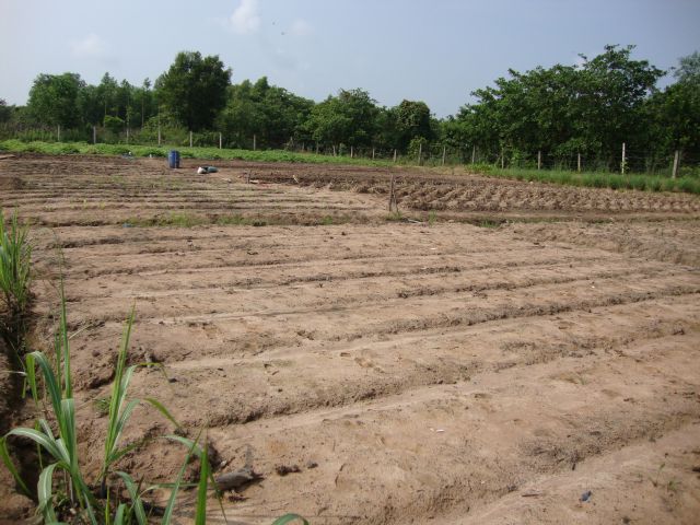 Thiền viện Trúc Lâm Trí Đức - Phần 1: Các công trình
