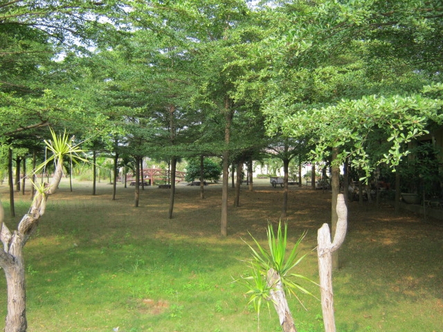 Xá Lợi Phật Đài Tự