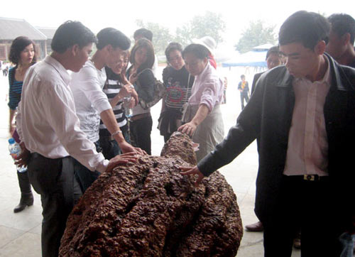 La Hán &quot;mòn chân&quot; vì... dân đi lễ