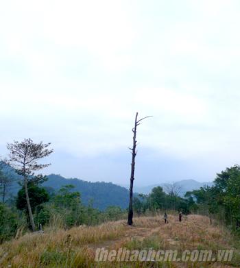 Ngọa Vân Tiên Cảnh