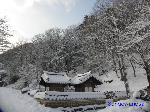 Hình ảnh mùa đông Tòng Quảng Tự Cổ Tự, Hàn Quốc