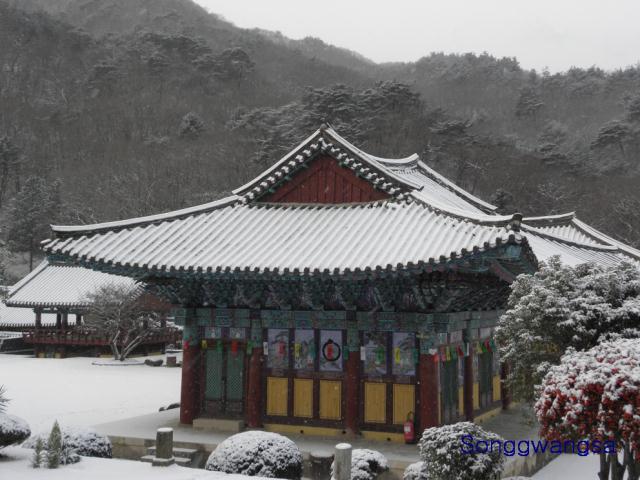Hình ảnh mùa đông Tòng Quảng Tự Cổ Tự, Hàn Quốc