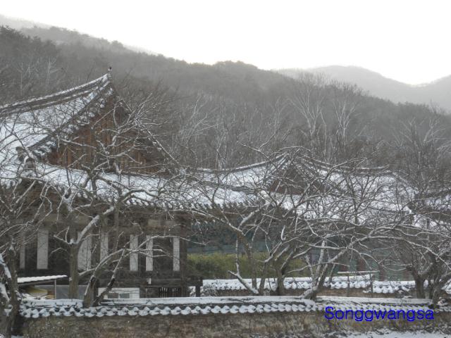 Hình ảnh mùa đông Tòng Quảng Tự Cổ Tự, Hàn Quốc