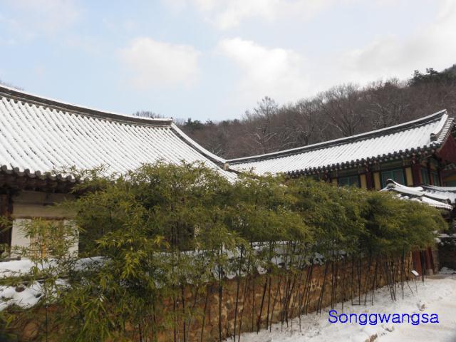 Hình ảnh mùa đông Tòng Quảng Tự Cổ Tự, Hàn Quốc