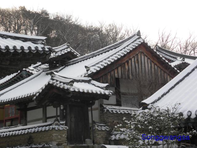 Hình ảnh mùa đông Tòng Quảng Tự Cổ Tự, Hàn Quốc