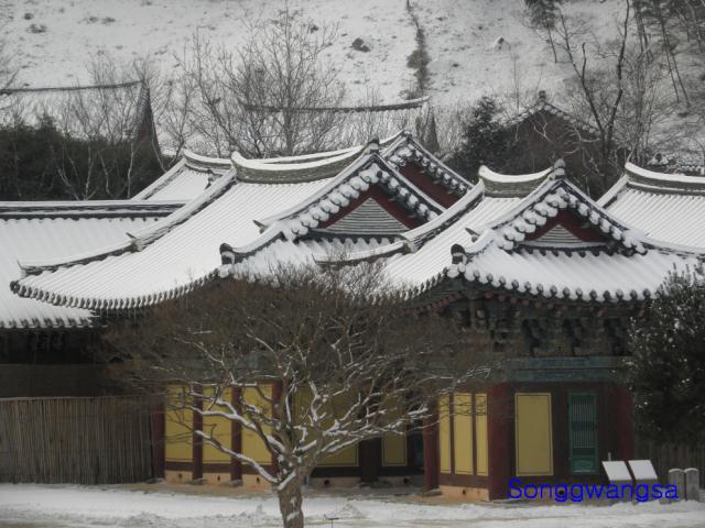 Hình ảnh mùa đông Tòng Quảng Tự Cổ Tự, Hàn Quốc