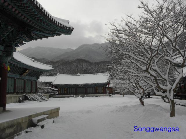 Hình ảnh mùa đông Tòng Quảng Tự Cổ Tự, Hàn Quốc
