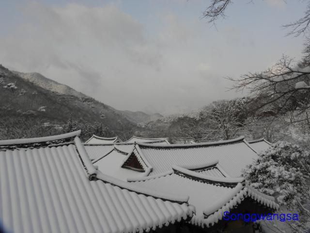 Hình ảnh mùa đông Tòng Quảng Tự Cổ Tự, Hàn Quốc