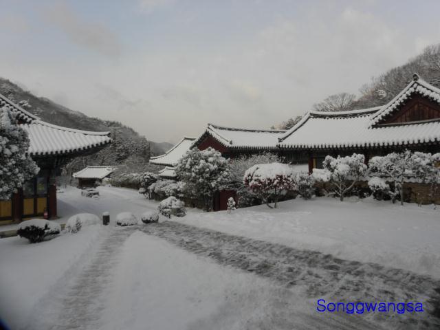 Hình ảnh mùa đông Tòng Quảng Tự Cổ Tự, Hàn Quốc