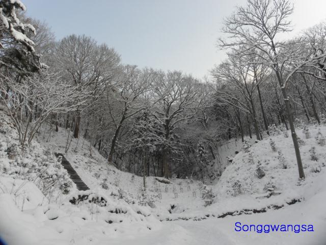 Hình ảnh mùa đông Tòng Quảng Tự Cổ Tự, Hàn Quốc