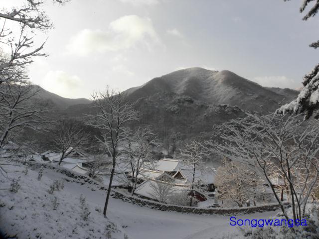 Hình ảnh mùa đông Tòng Quảng Tự Cổ Tự, Hàn Quốc