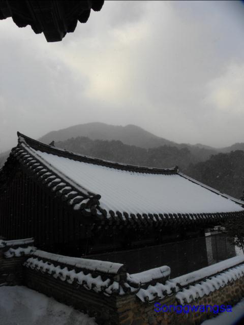 Hình ảnh mùa đông Tòng Quảng Tự Cổ Tự, Hàn Quốc