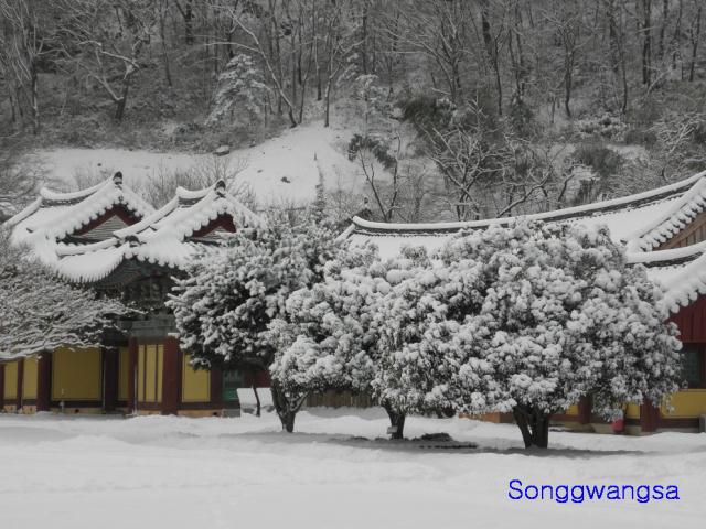 Hình ảnh mùa đông Tòng Quảng Tự Cổ Tự, Hàn Quốc