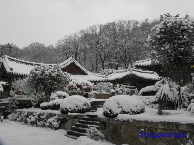 Hình ảnh mùa đông Tòng Quảng Tự Cổ Tự, Hàn Quốc