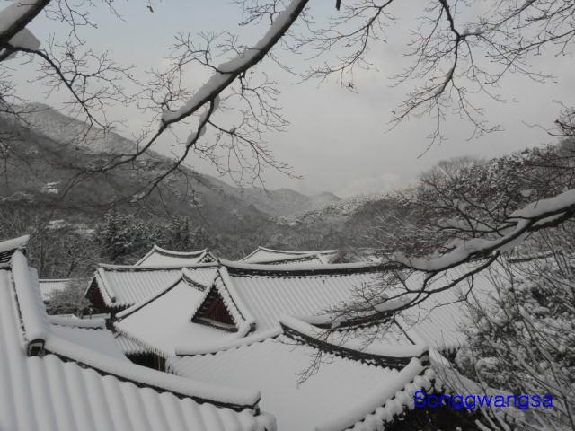 Hình ảnh mùa đông Tòng Quảng Tự Cổ Tự, Hàn Quốc