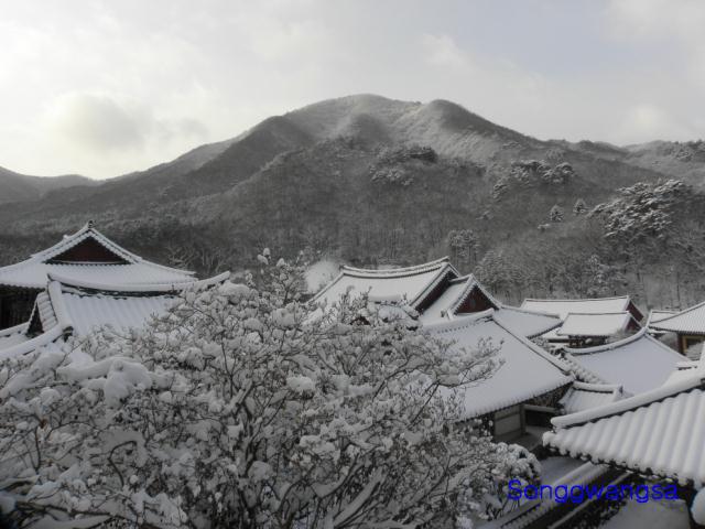 Hình ảnh mùa đông Tòng Quảng Tự Cổ Tự, Hàn Quốc