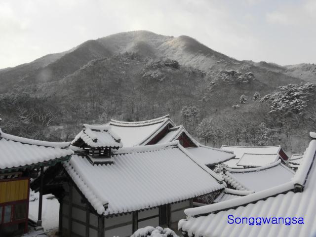 Hình ảnh mùa đông Tòng Quảng Tự Cổ Tự, Hàn Quốc