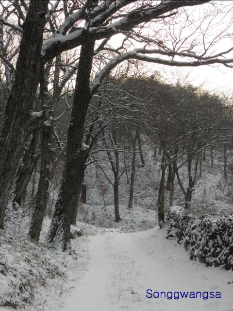 Hình ảnh mùa đông Tòng Quảng Tự Cổ Tự, Hàn Quốc